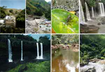 Guineo-Congolian freshwater biodiversity