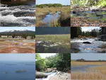 Freshwater habitat regionalization